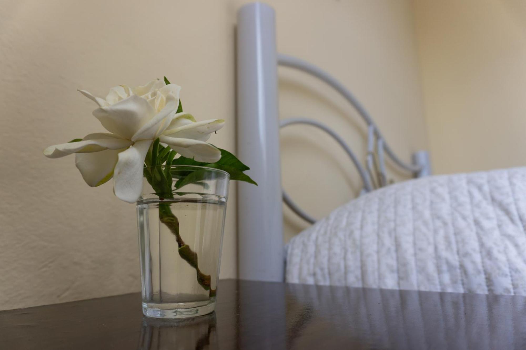 Mi Casa Es Tu Casa Apartment Melo Bagian luar foto